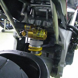 hlins Shock