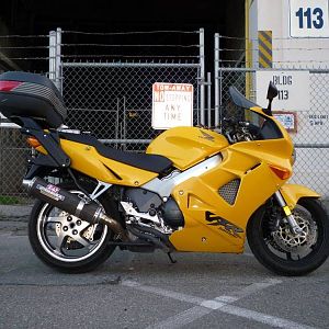 Old Yeller