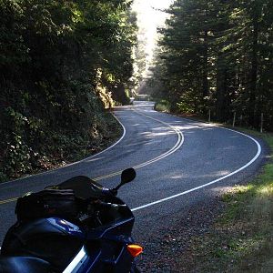 Hwy 1 north of Fort Bragg