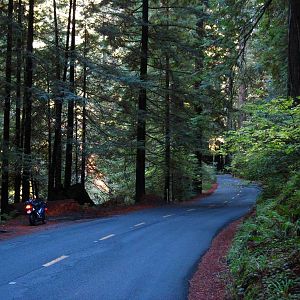 Shelter Cove Rd.