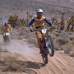 vintageMS_Husky