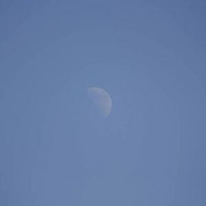 MG_0059