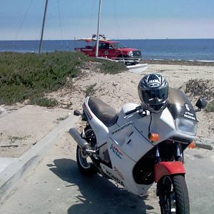 beachsicle