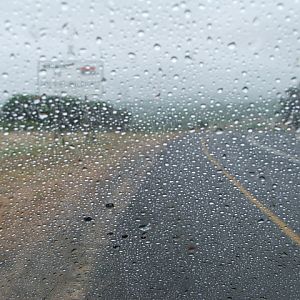 Image11