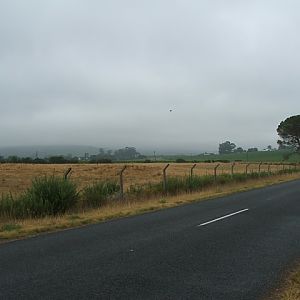 Image3