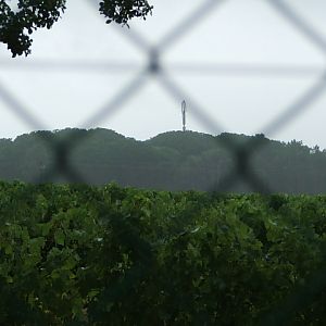 Image7