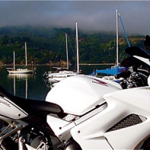 Bodega Bay