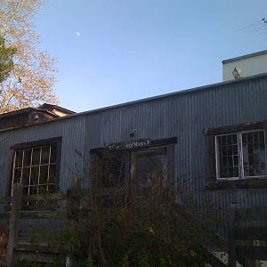 harmony dairy