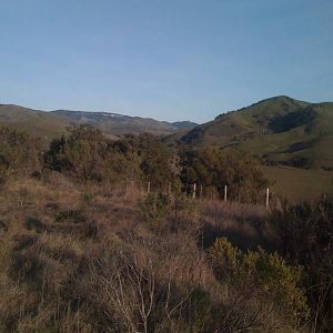 hills