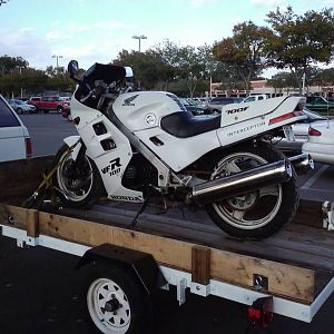 taking it home after the deal was done...1986 honda vfr700f interceptor