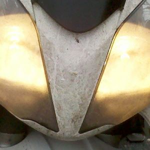 IMG_20110101_151719