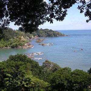 Pacific Coast macadamia stop