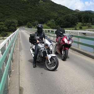 One way bridge