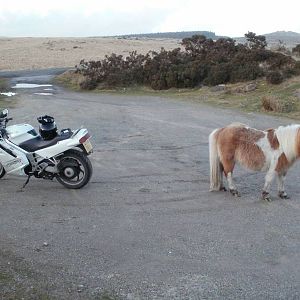 Mine's the one on the left...