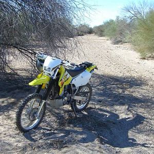 drz_feb_28_b
