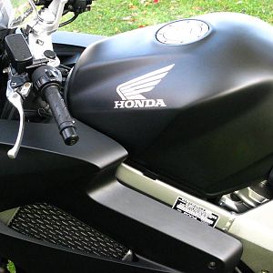 Black Beauty