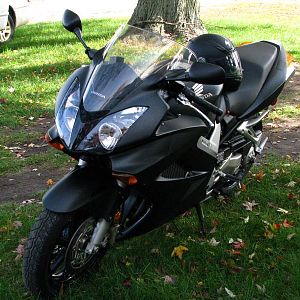 Black Beauty