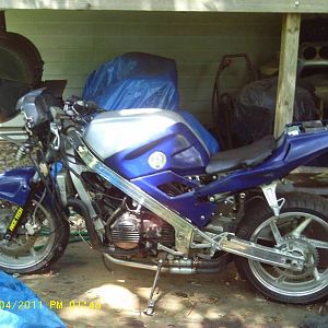 IMAG0175