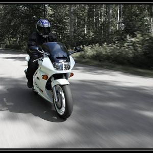 IMG_6986_copy
