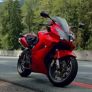 2005 VFR800 ABS forest