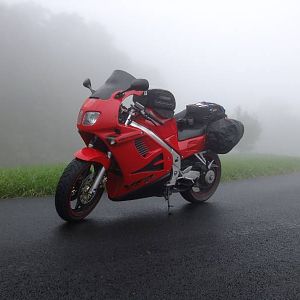 Foggy