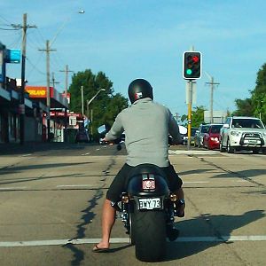 Full Squid