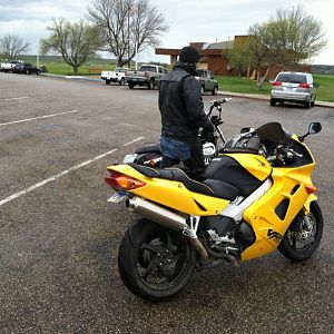 IMG_00291