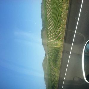IMG_0276