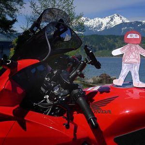 Flat Stanley at Dawato Bay