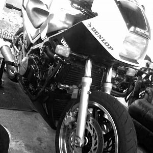 new fork seals, painted fork leg