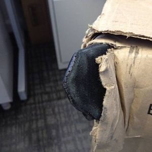 Seat shipment(1)