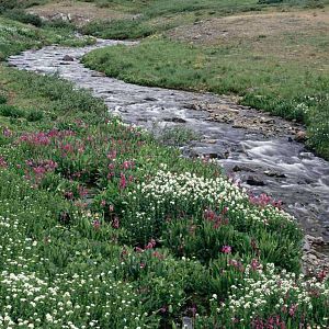 Creek1