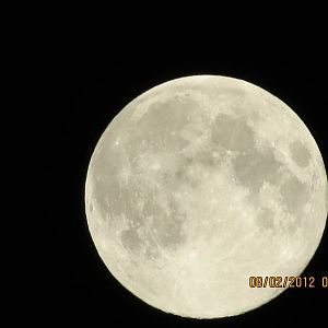 IMG_01451