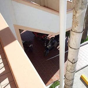 Bikes under stairs