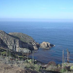 DSC05443