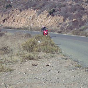 DSC05454