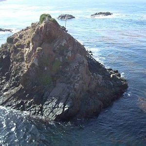 DSC05475