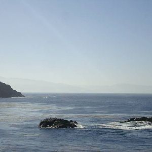 DSC05487