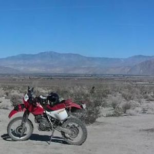 2013-01-209510-08-4195318