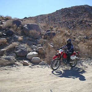Brego_Offroad_20_