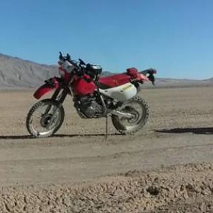 Borrego_9_