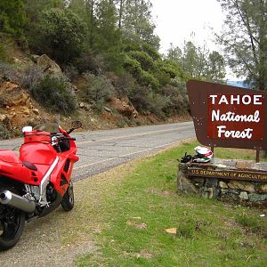 '96 vfr, mosquito ridge