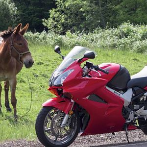 Horsepower