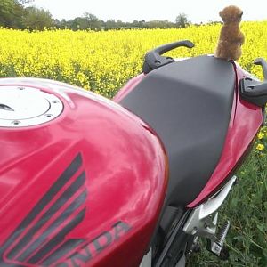 VFR 800 V-Tech