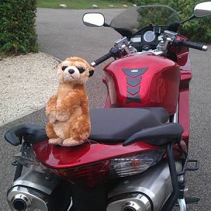VFR 800 V-Tech
