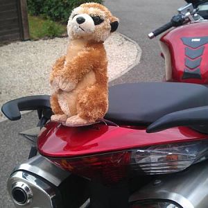 VFR 800 V-Tech
