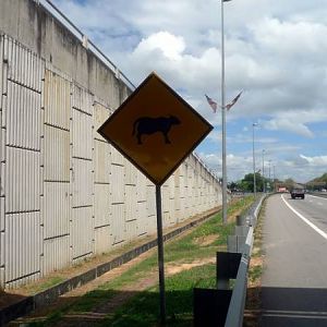P1050698