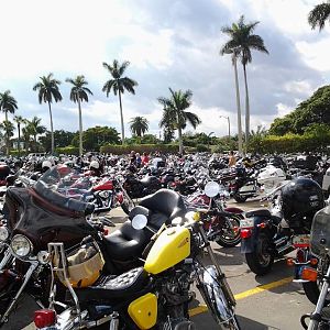 Dania Beach 01/14