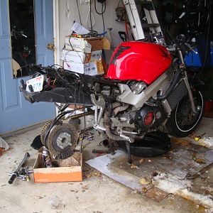 DSC06686