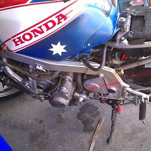 cbr600 1987